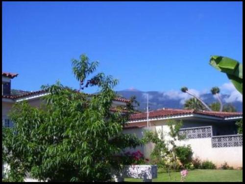 104920 - House In La Orotava