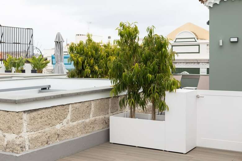 Hotel Suites 1478