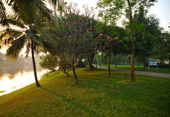 Hotel Felix River Kwai Resort