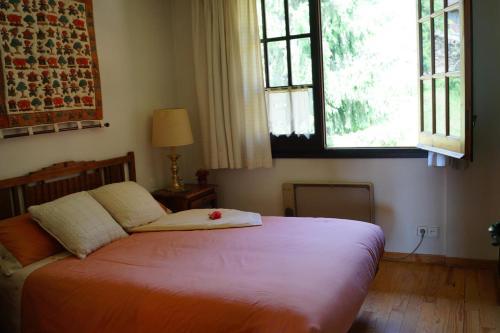 Apartamento Llivia IX