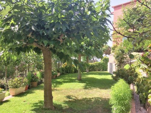 Apartamento Homeholidaysrentals Rossell II