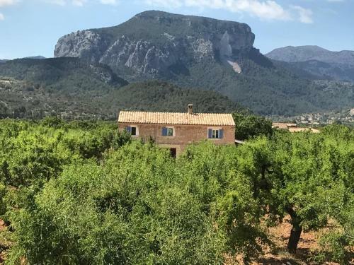 Lodging Apartments Mallorca - Son Pelai Menut