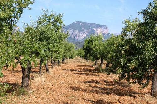 Lodging Apartments Mallorca - Son Pelai Menut