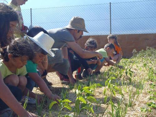 Camping Sunissim El Pla De Mar By Locatour