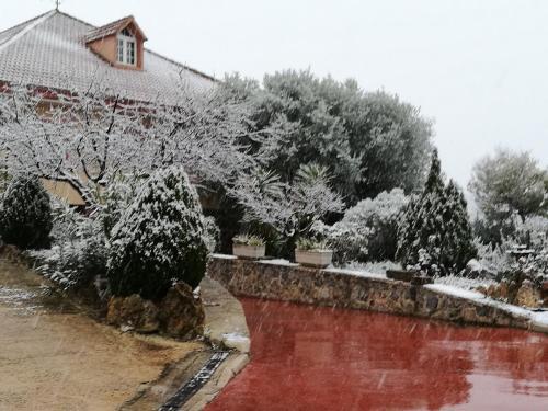 Villa Cerro De Carmona S/n (la Molineta)
