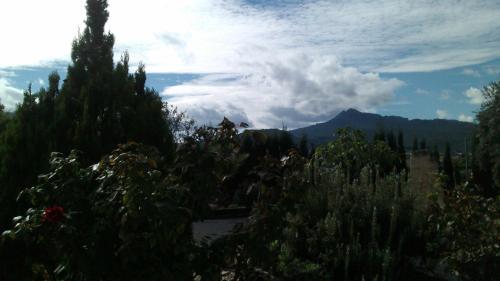 Villa Cerro De Carmona S/n (la Molineta)