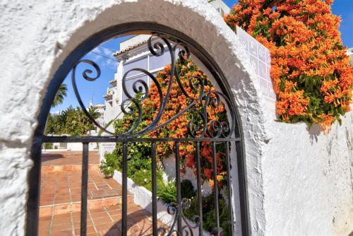 Apartamento Papillon 6