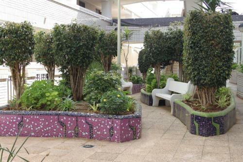 Apartamentos Vacacionales Trebol
