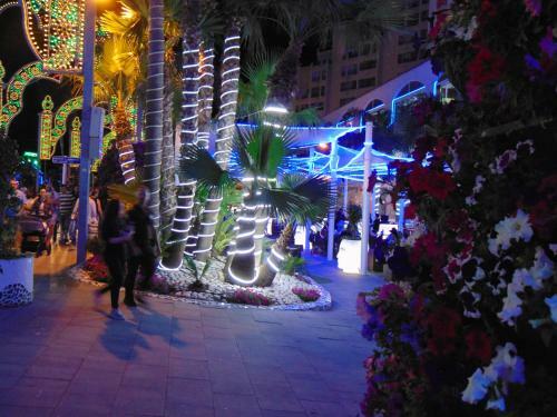 Apartamento Marina -luxury- 9th Floor-1th Line