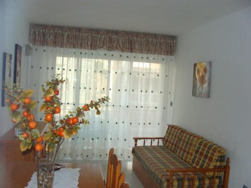 Apartments In Pe�iscola/costa Brava 4720