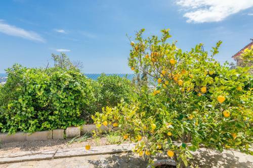 Apartamento Homeholidaysrentals Sils II