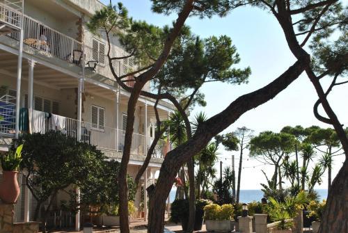Apartments Delfin 3520
