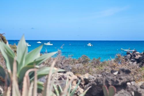 Apartamento Luxe Punta Mujeres Sea Views!
