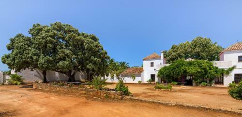 Agroturismo Recreo De San Cayetano