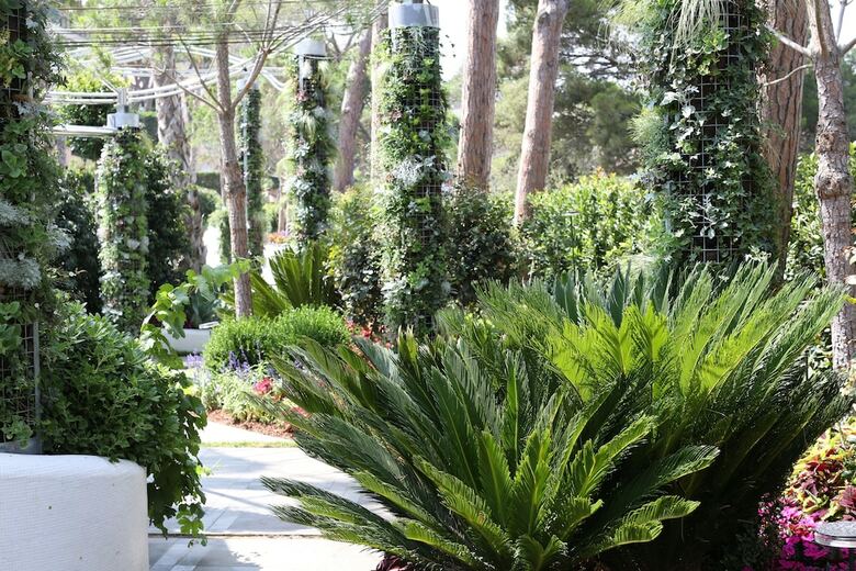 Al�briga Hotel & Homesuites
