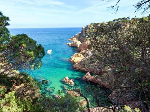 Apartment Vall D'aro