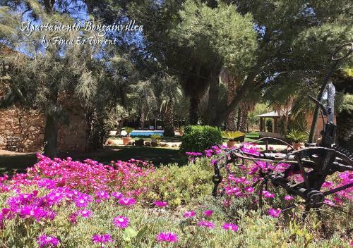 Apartment Bougaivillea By Finca Es Torrent