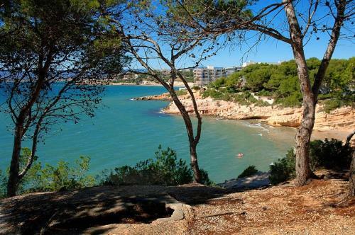 Apartments In Salou/costa Dorada 3967