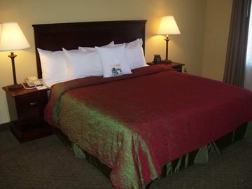 Hotel Homewood Suites By Hilton Montgomery