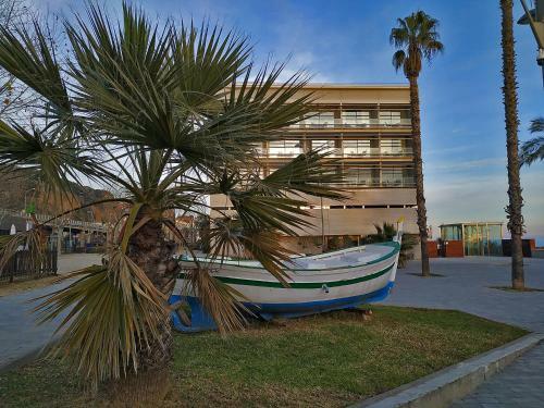 Premium Habitat Cala Rovellada