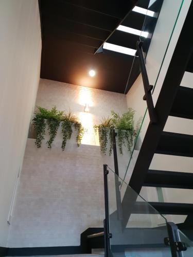 Hostal Suites Dornajos4