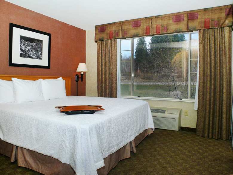 Hotel Hampton Inn & Suites Steamboat Springs Co