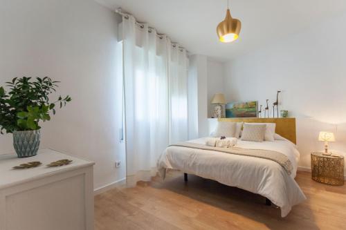 Apartamento Centro Historico, Terraza Privada
