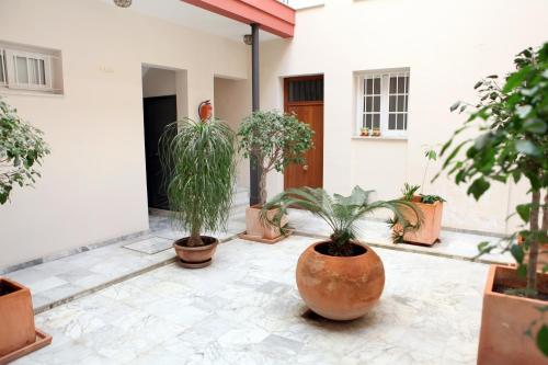 Apartamento Duplex Karivu Gav�dia
