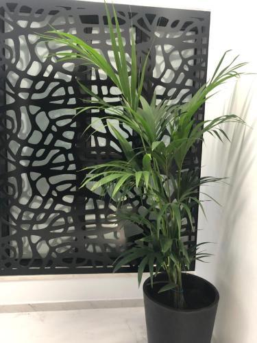 Apartamentos Rivero 8