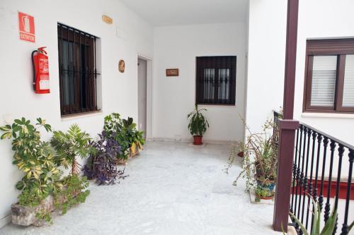 Quiet & Modern Apartment In Typical Sevilla House
