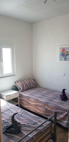 Apartamento Villa Roja 2, Ferienanlage Mit Boule