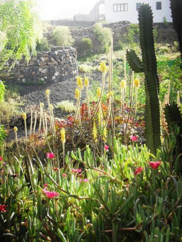 Agroturismo Bodega