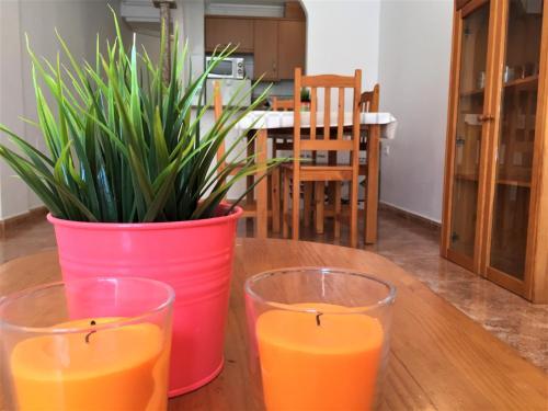 Apartamento Angelica