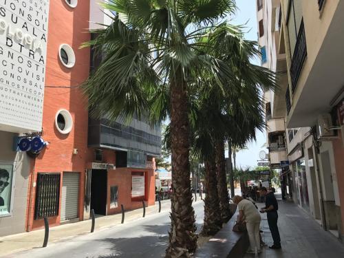 Torrevieja Center 3-bedrooms Apartment