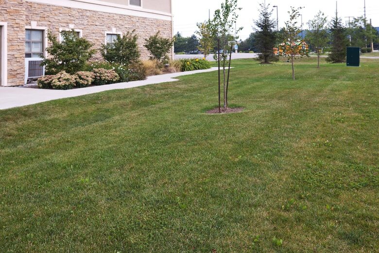 Hotel Staybridge Suites Guelph