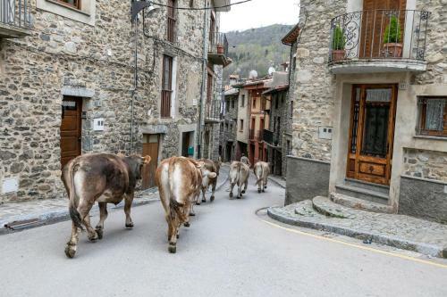 Bed & Breakfast Sports House Nord Sud