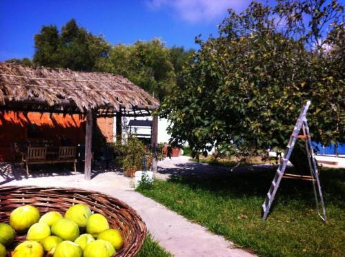 Agroturismo Casas El Camino