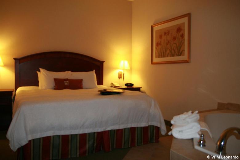 Hotel Hampton Inn & Suites Lafayette La