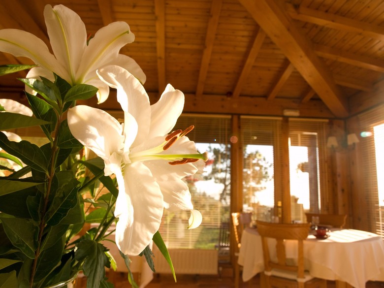 Hotel Casa Camila