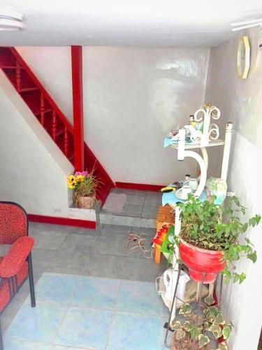 Hostal Cusco Central Hostel