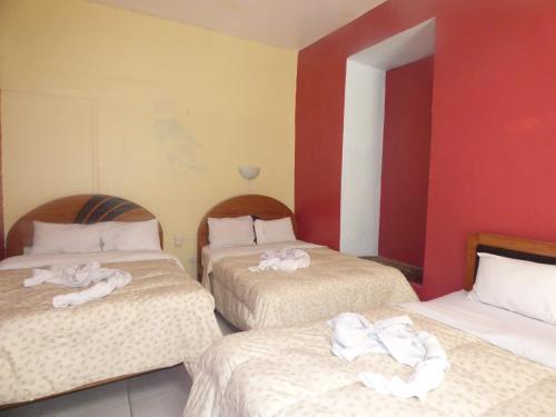 Albergue The Grasshopper Hostal Plaza De Armas