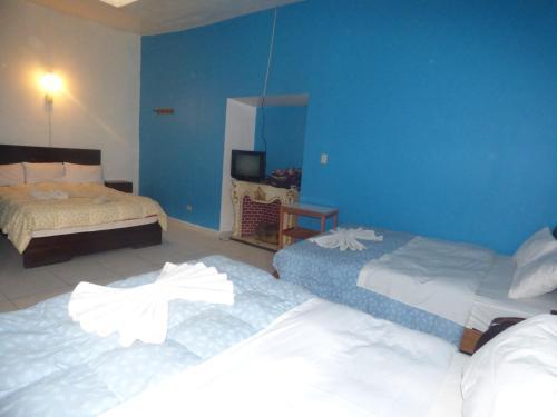 Albergue The Grasshopper Hostal Plaza De Armas