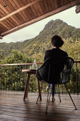 Hotel Andenia