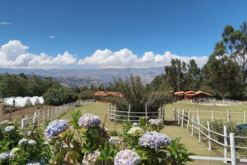The Lazy Dog Inn A Mountain Lodge
