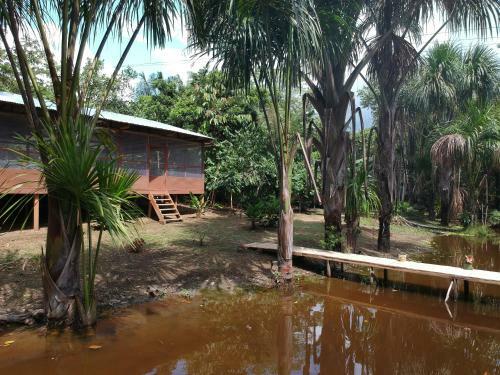 Lodge Friends Of The Amazon Jungle