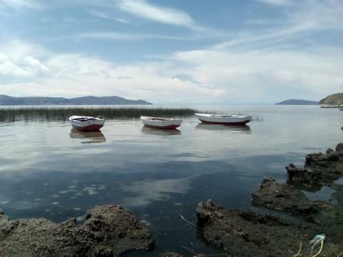 Agroturismo Luquina Homestay
