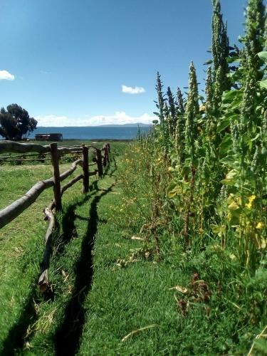 Agroturismo Luquina Homestay