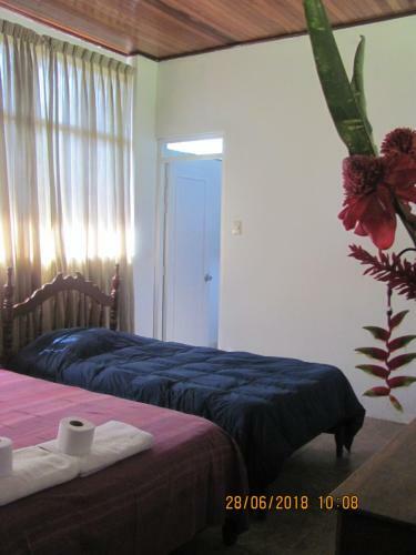 Agroturismo El Cacaotal