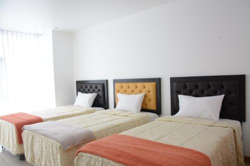 Hotel Van Gogh