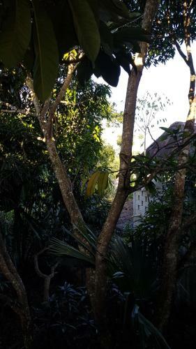 Hotel Maya